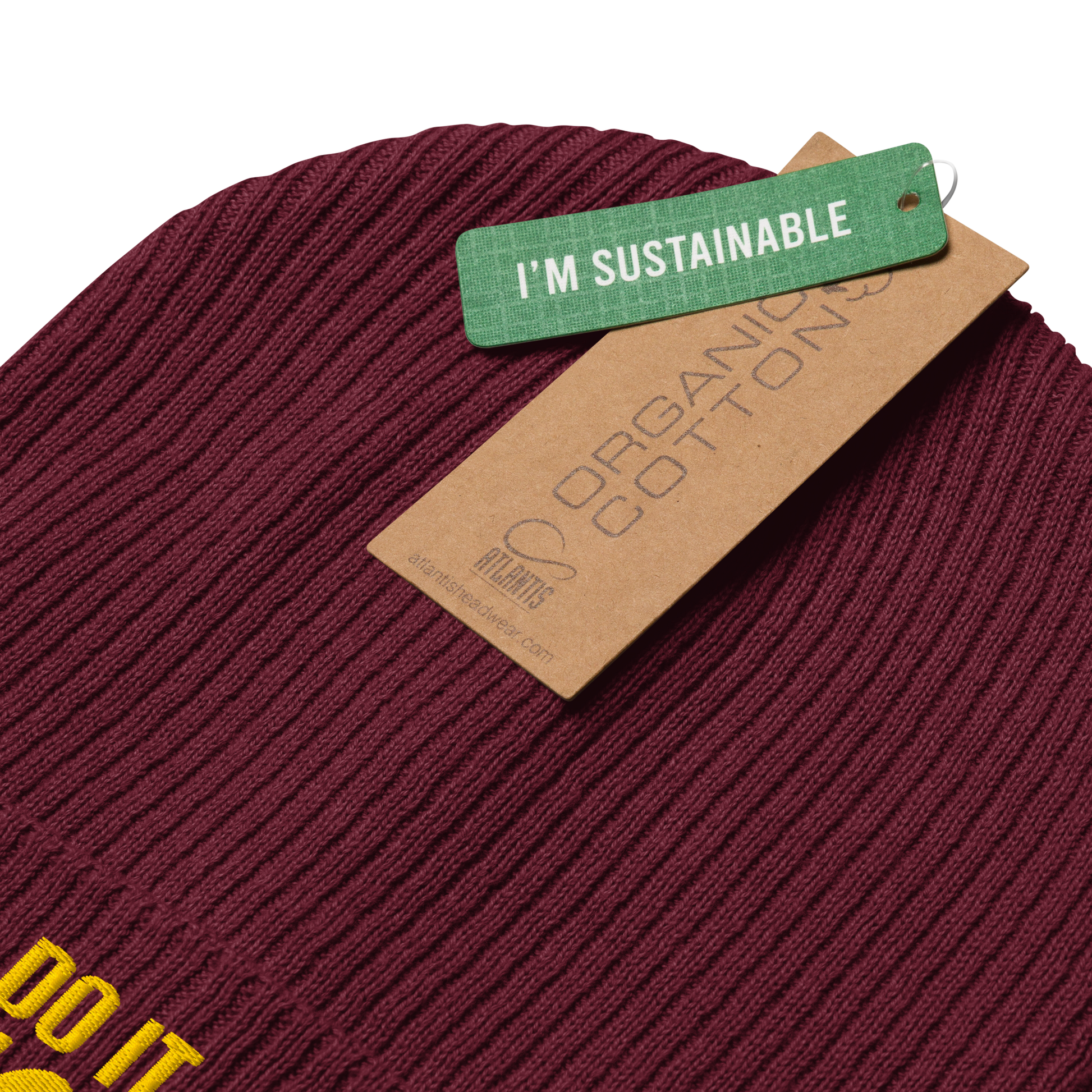 Eco-friendly 100% Organic Cotton Ribbed Cuffed Beanie - Do It Now Beanies Refine Zone
